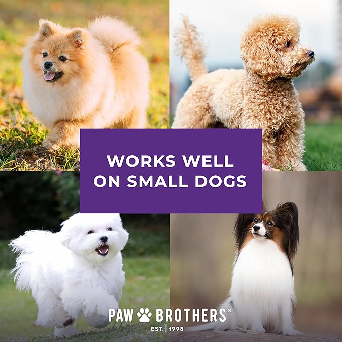 Ryan's Pet Supplies Paw Brothers Nail Clipper for Dogs and Cats, Pet Nail Clippers, Safe Grooming Tool, Professional Grade for Groomers, Stainless Steel Blades, Safety Guard, Small, 5 Inches-Mewly Pet