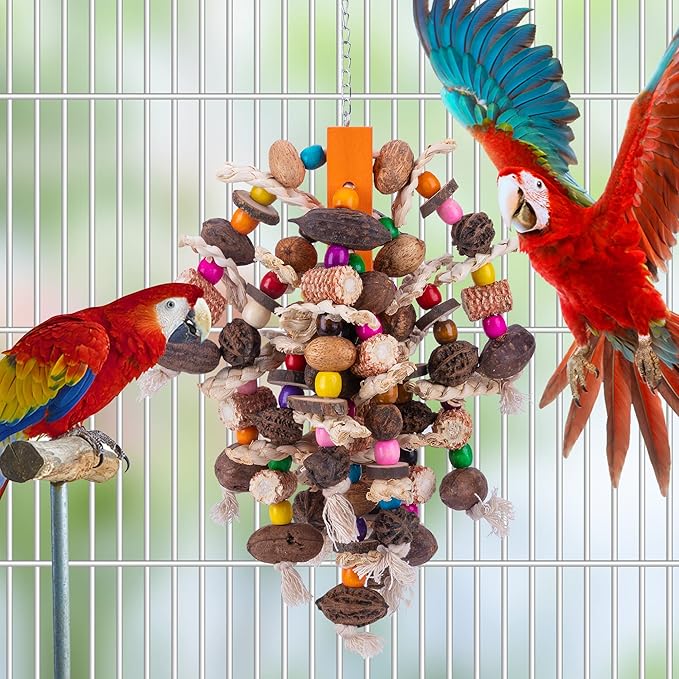 Deloky Large Parrot Bird Chewing Toys, Natural Nuts Corn Parrot Tearing Toy, Wooden Bird Cage Toy for African Grey, Macaws Cokatoos, Amazon Parrots and Other Large Birds-Mewly Pet