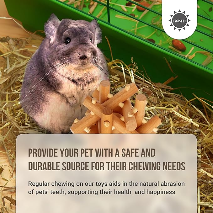 Wooden Chewing Toy for Small Animals, Natural Wood for Rabbit, Guinea Pig, Bunny, Chinchilla (Colorless)-Mewly Pet