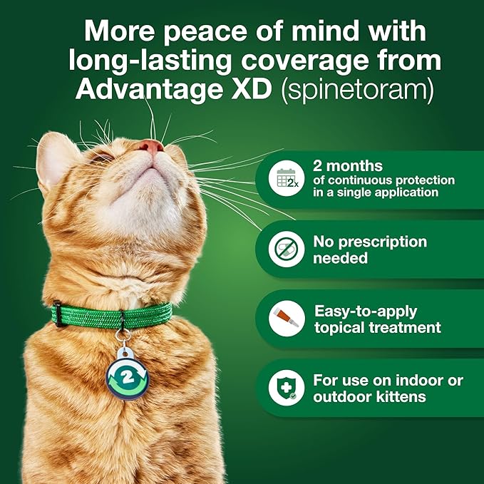 Advantage XD Small Cat Flea Prevention & Treatment For Cats 1.8-9lbs. | 4-Topical Doses, 2-Months of Protection Per Dose-Mewly Pet
