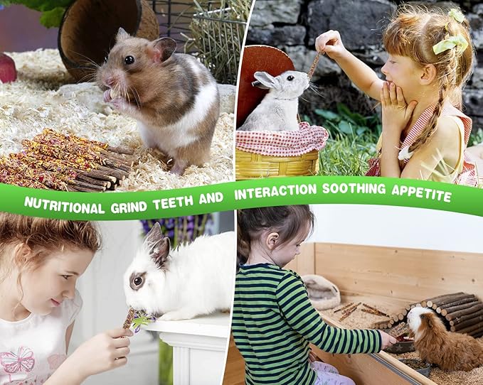 Abizoo Bunny Chew Toys for Rabbits,18PCS Natural Apple Wood Sticks with Petals Good for Chinchillas Guinea Pig Hamster Teeth Care, Bunny Small Pet Treats Teething Toys| Natural Organic Safe-Mewly Pet
