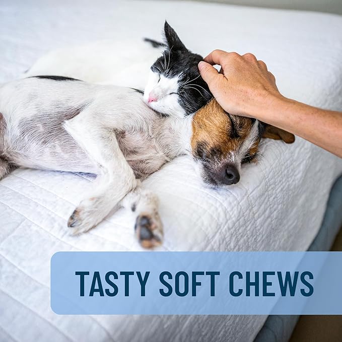 Nutramax Solliquin Calming Behavioral Health Supplement for Small to Medium Dogs and Cats - With L-Theanine, Magnolia / Phellodendron, and Whey Protein Concentrate, 75 Soft Chews-Mewly Pet