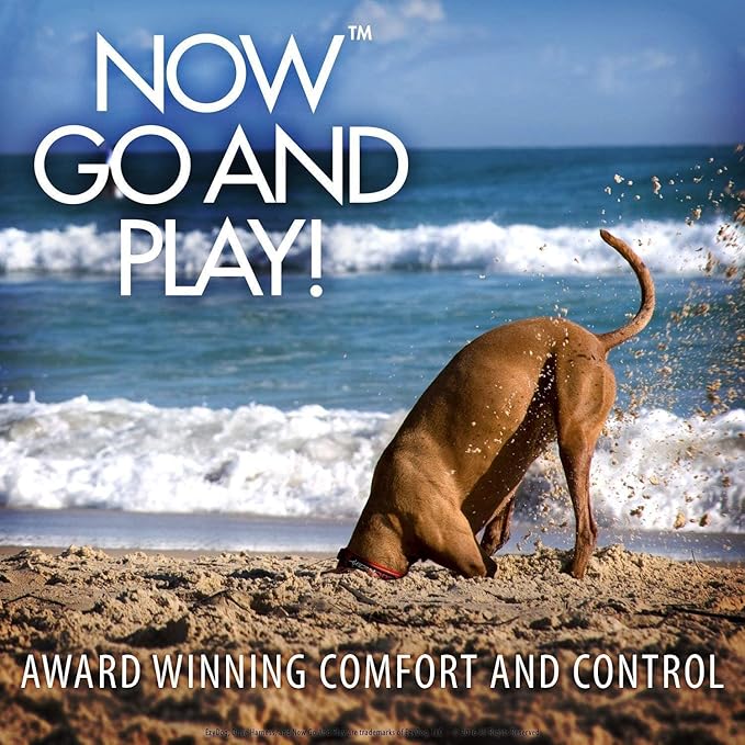 Ezydog Drive Dog Car Harness – Crash Tested and Certified (US-FMVSS 213) Dog Seat Belt Harness for Safe Travel, Adjustable with Padded Comfort (Medium)-Mewly Pet