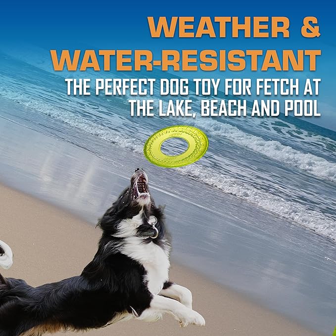 Nerf Dog Tire Flyer Dog Toy Gift Set, 10 Inch Flying Disc Dog Fetch Toys, Rubber Dog Toy for Medium Dogs and Large Dogs, Red, Translucent Green and Translucent Blue, 3 Count-Mewly Pet