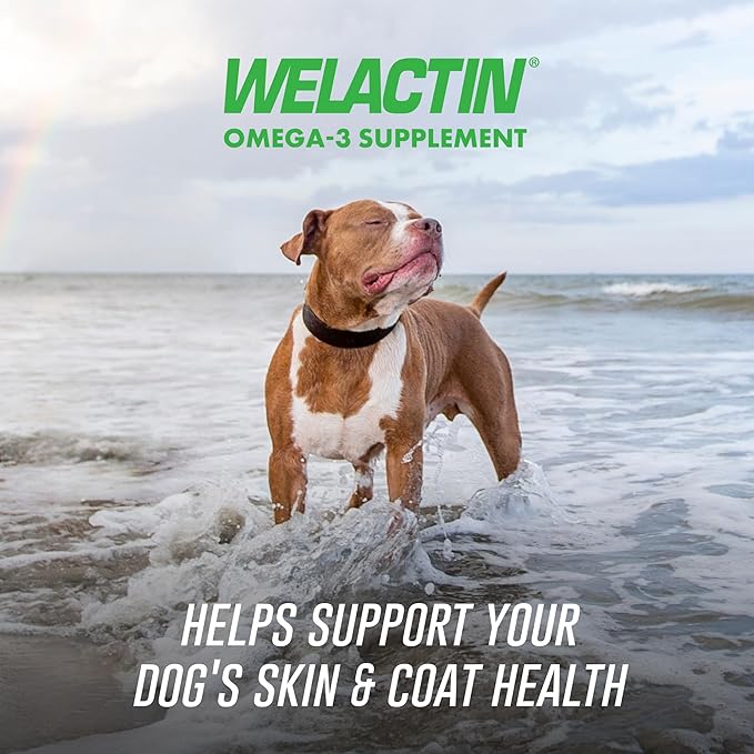 Nutramax Welactin Omega 3 Fish Oil for Dogs, Skin and Coat Health Supplement, Plus Immune and Overall Health, Premium Omega 3 Fatty Acids, Multivitamin For Dogs, Soft Chews, 60 Count-Mewly Pet