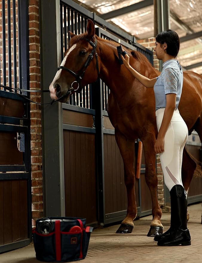 9PCS Horse Grooming Kit Curry Comb Sweat Scraper Horse Bathing Supplies Grooming Tools with Storage Bag Shadowberry-Mewly Pet