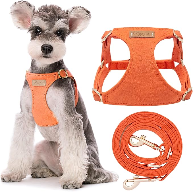 Puppytie No Pull Dog Harness with Multifunction Dog Leash,Soft Adjustable No Choke Escape Proof Pet Harness Vest for Medium Dogs or Large Dogs,Orange,M-Mewly Pet