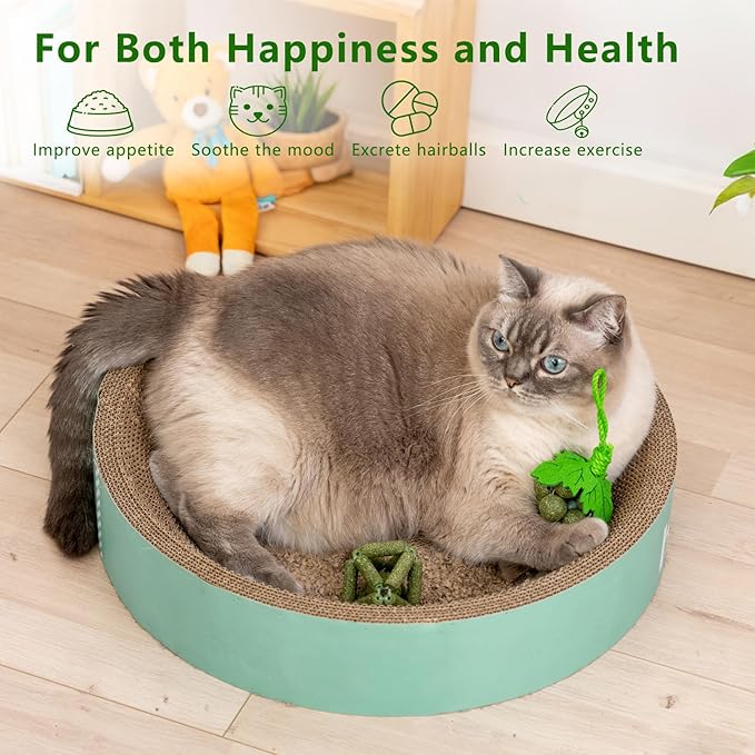 Cat Catnip Toys,2Pcs Catnip Ball for Cats,Toys for Indoor Cats,Cat Chew Exercise Toy for All Breeds and Species,Enhances Oral and Dental Health-Mewly Pet