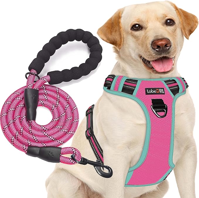 No Pull Dog Harness Adjustable Reflective Oxford Easy Control Medium Large Dog Harness with A Free Heavy Duty 5ft Dog Leash-Mewly Pet