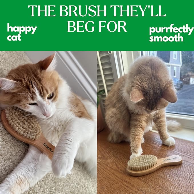 GranNaturals Boar Bristle Soft Cat Brush for Indoor, Outdoor, Short Haired Cats, Kittens, Small Dog, Rabbit, Furry Pets - Gentle Grooming on Sensitive Hair Coat & Tail with Durable Wooden Handle-Mewly Pet