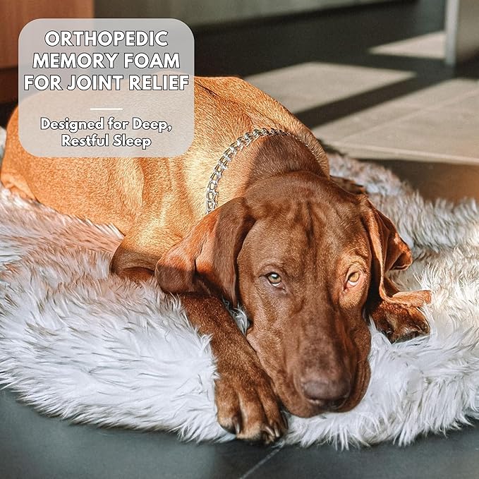 IHAPPYDOG Luxury Faux Fur Orthopedic Dog Bed, Memory Foam Dog Bed for Small, Medium, Large and XL Pets, Fluffy Pet Rug with Waterproof and Washable Cover (White w/Brown Tips, 40"x25")-Mewly Pet