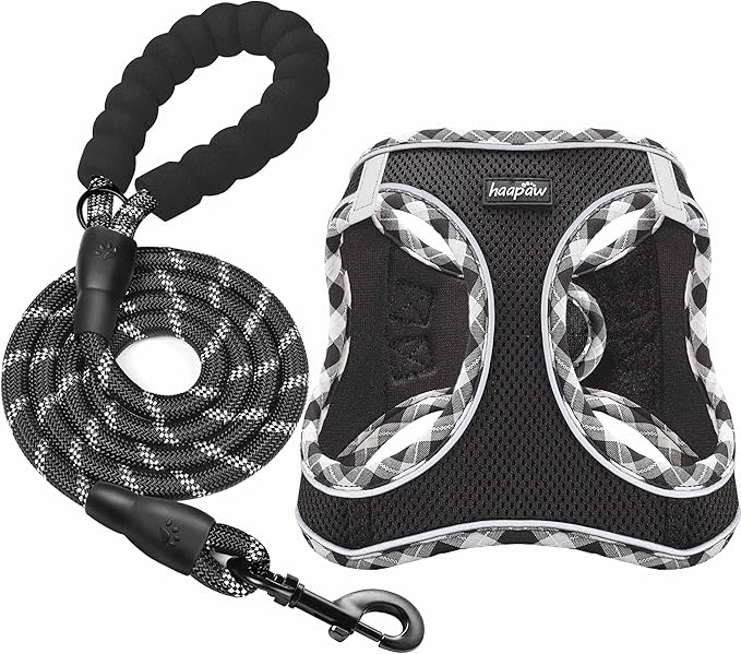 haapaw Dog Harness with Leash Set, No Pull Adjustable Reflective Step-in Puppy Harness with Thickened Padded Vest for Extra-Small/Small Medium Dogs-Mewly Pet