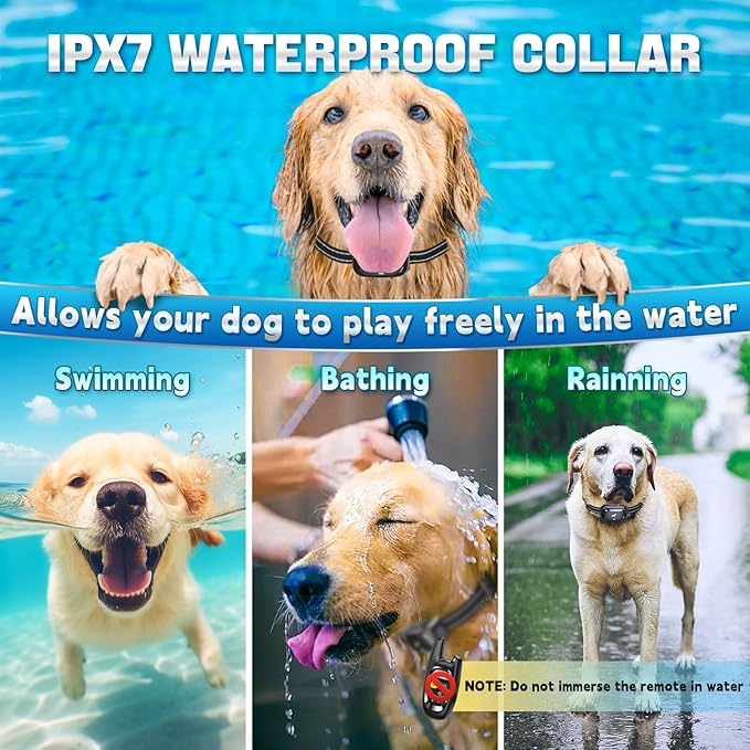 Dog Shock Collar with Remote - [2025 Newly Upgraded] Dog Training Collar for Small Medium Large Dogs, Rechargeable E Collars for Dogs Training, Waterproof Electric Collar with Shock-Lock