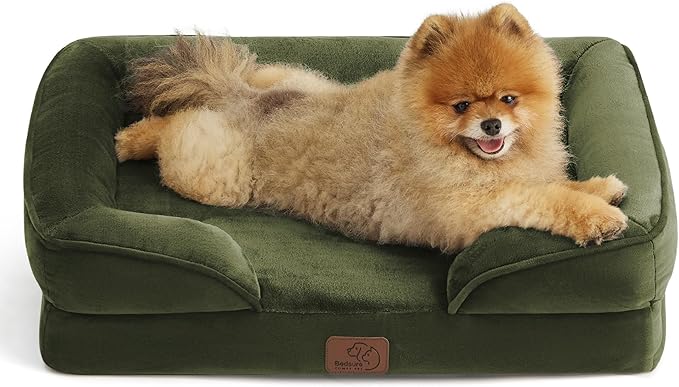 Bedsure Orthopedic Dog Beds for Small Dogs - Washable Small Dog Cat Bed Waterproof, Comfort Pet Couch Sofa with Washable Removable Cover, Pets Bed with Nonskid Bottom, Moss Green, 24"-Mewly Pet