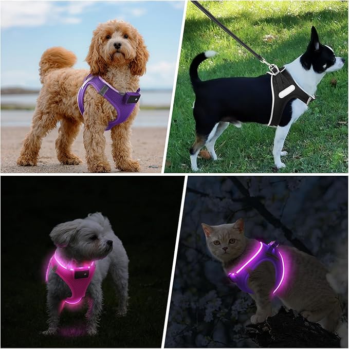 PceoTllar Light Up Dog Harness, LED No Pull Reflective Dog Harness, Flashing Lighted for Night Walking - Small/Medium, (Purple,M)-Mewly Pet