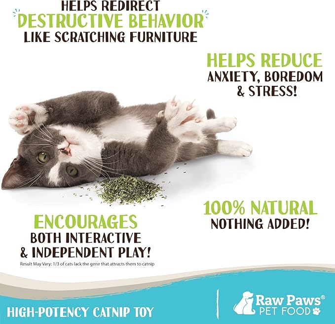 Raw Paws Fresh Catnip for Cats, 1-oz (2 Cups) - Use for Refillable Catnip Toys for Cats - Natural Dried Cat Nip-Mewly Pet