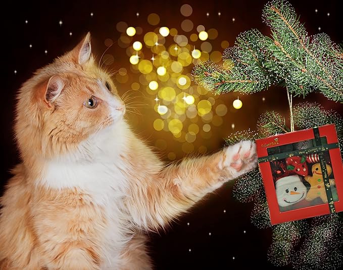 Fashion's Talk Holiday Festive Red Variety Pack Gift Box Cat Toy with Catnip, Box 20 Count-Mewly Pet