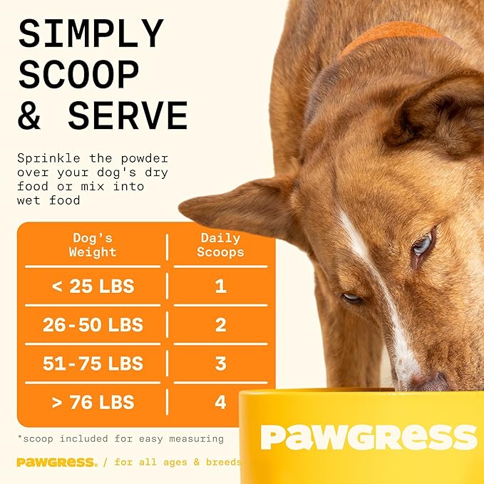 5-in-1 Dog Probiotic Powder – 100% Natural Gut Health Support with Prebiotics, Postbiotics & Enzymes – Crafted by Dog Nutritionist Kayla Kowalski, Made in USA – 30 Scoops-Mewly Pet