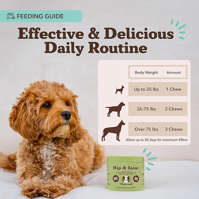 Natural Dog Company Hip & Joint Chews, Chicken Liver & Turmeric Flavor, with Glucosamine Chondroitin for Dogs, Maintains Bone and Joint Health, Supplements for Seniors and Puppies, 90 Count-Mewly Pet