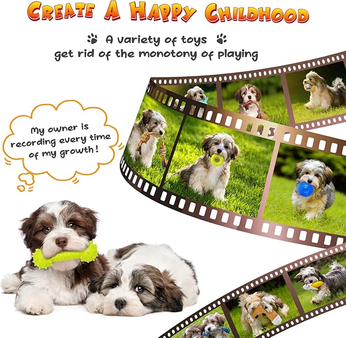 KIPRITII Puppy Toys for Dog Teething -25 Pack Various Puppy Chew Toys with Rope Toys, Dog Treat Balls & Squeaky Toy for Puppy and Small Dogs-Mewly Pet