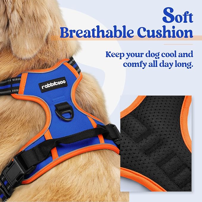 rabbitgoo Dog Harness No Pull with 2 Leash Clips, Adjustable Soft Padded, Reflective Oxford No Choke Pet Vest with Easy Control Handle for Small Dogs, Blue & Orange, S-Mewly Pet
