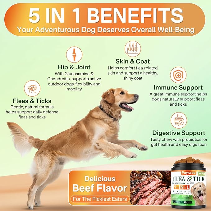 5-in-1 Dog Flea and Tick Treatment Chewable, Natural Flea and Tick Prevention for Dogs Chewable - Flea & Tick | Hip & Joint | Skin & Coat | Immunity Support | Digestive for All Breeds & Sizes-Mewly Pet