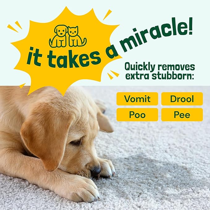 Sunny & Honey Enzyme Carpet Cleaner Spray - 32 Fl Oz, Spring Mint - Pet Urine Remover & Odor Eliminator - Stain Remover-Mewly Pet