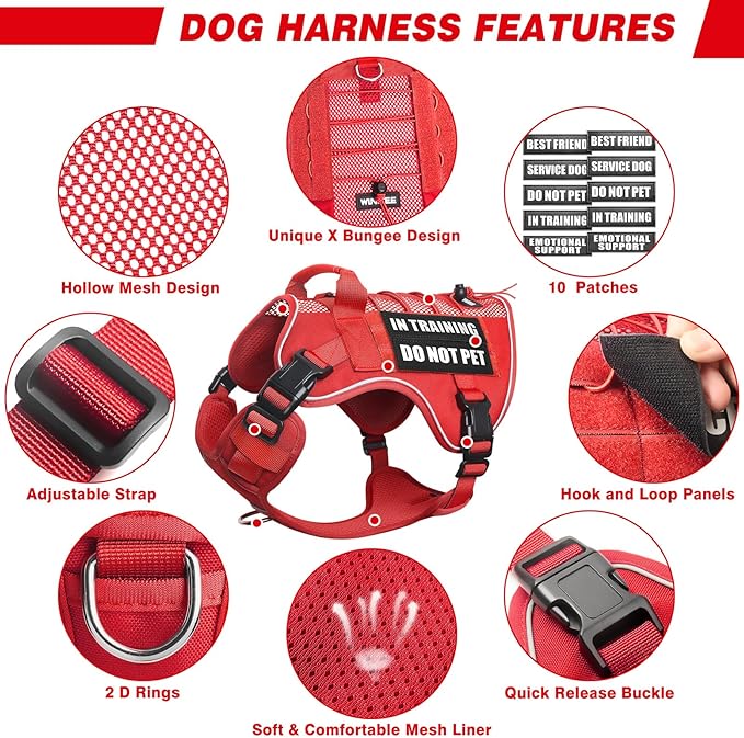 WINSEE Service Dog in Training Mesh Harness with 10 Pet Patches, Soft Air Mesh Breathable Tactical Dog Molle Vest, Reflective Military Pet Vest for Walking Hiking for Large Dogs-Mewly Pet