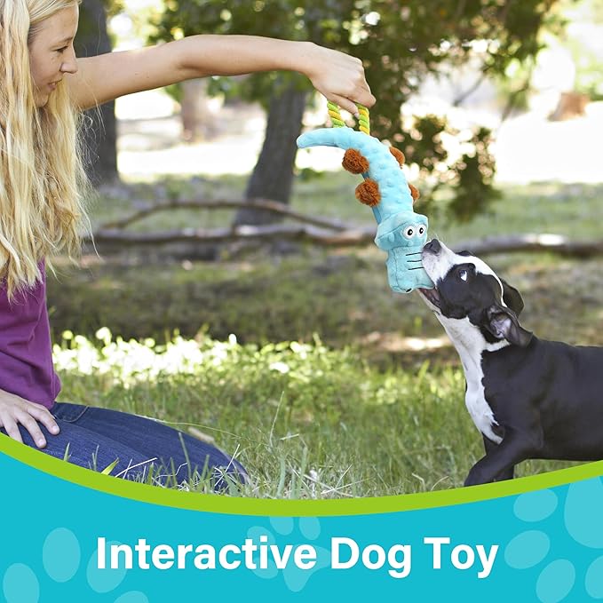 Prime Pets Dog Squeaky Toy, 2 Pack, Tug of War Dog Toys for Small Medium Large Dogs, Interactive Plush Puppy Chew Toy-Mewly Pet