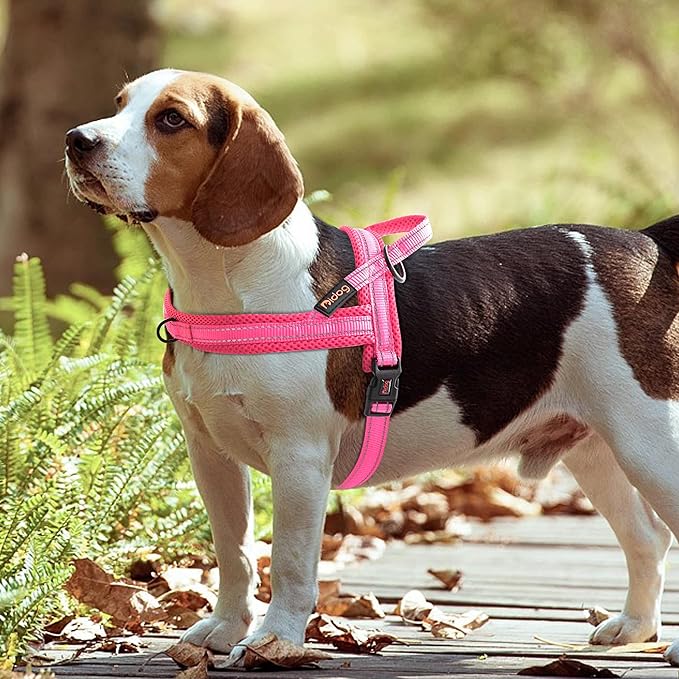 Didog No Pull Dog Harness with Soft Mesh Padded,Reflective & Quick Fit Light Weight Dog Strap Vest Harness,Easy for Walking Training (M:Chest 21-26", Pink)-Mewly Pet