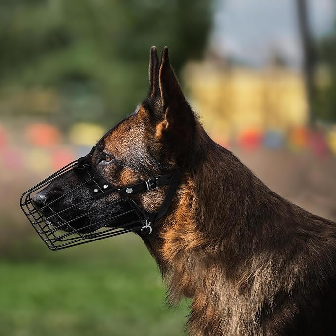 German Shepherd Dog Muzzle Metal Basket for Medium Large Dogs Adjustable Durable Leather Straps Secure Wire Mask for Biting Chewing Barking (Black, M - Size)-Mewly Pet