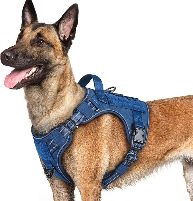 rabbitgoo Dog Harness for Large Dogs No Pull, Tactical Service Pet Vest with Molle and Control Handle, Adjustable and Reflective Military Harness for Easy Walking and Training, Blue, L-Mewly Pet