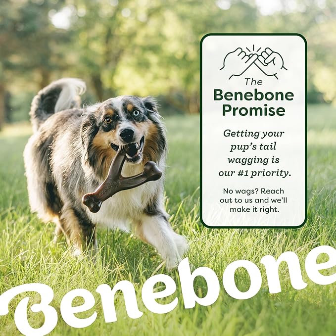 Benebone 2-Pack Bacon Wishbone/Rubber Bone Medium-Mewly Pet