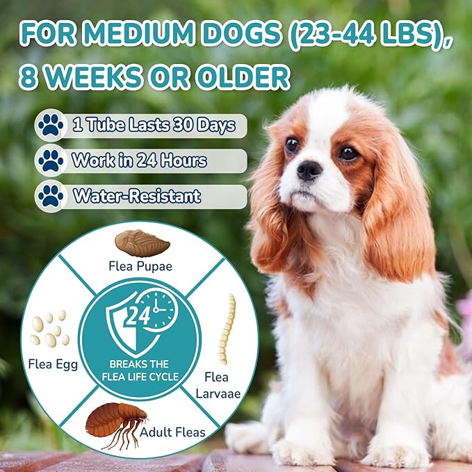 Flea and Tick Prevention for Dogs, 6-Month Supply Dog Flea and Tick Treatment Drops, Topical Fast-Acting Dog Treatment for Medium Dogs Up to 23 to 44 lbs-Mewly Pet