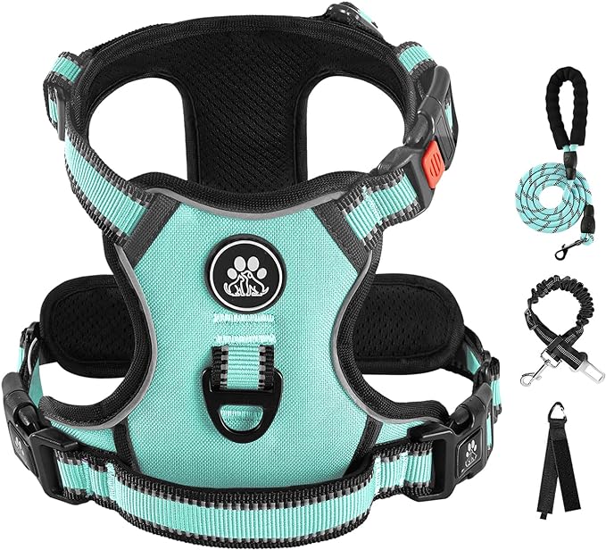 IVY&LANE No Pull Dog Harness with Leash Set, Reflective No Choke Pet Vest,Adjustable Oxford Dog Vest Harness with Easy Control Handle for Large Dogs (Turquoise,XL)-Mewly Pet