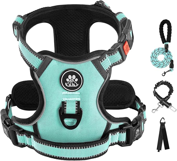 IVY&LANE No Pull Dog Harness with Leash Set, Reflective No Choke Pet Vest,Adjustable Oxford Dog Vest Harness with Easy Control Handle for Medium Dogs (Turquoise,M)-Mewly Pet