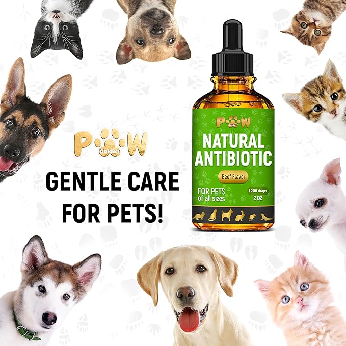 Antibiotics for Dogs | Antibiotics for Cats | Herbal Supplement for Digestion, Breathing, Urination | for Infections, Cough, Allergies | Beef Flavor & Cranberry | for All Pet Breeds | 2 Oz-Mewly Pet
