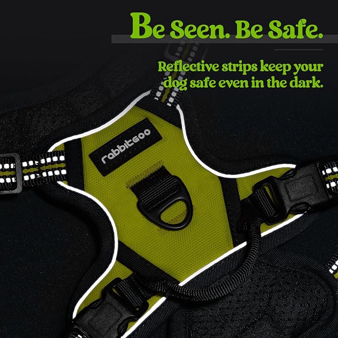 rabbitgoo Dog Harness No Pull with 2 Leash Clips, Adjustable Soft Padded, Reflective Oxford No Choke Pet Vest with Easy Control Handle for Puppy, Green, XS-Mewly Pet