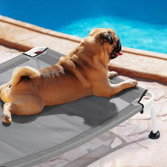 Veehoo Elevated Dog Bed for Outdoor, Cooling Waterproof Raised Dog Cots Beds for Medium Dogs, Curved Off Ground Pet Hammock Cot Lifted for Outside, up to 65lbs, White Legs, Grey 32"-Mewly Pet