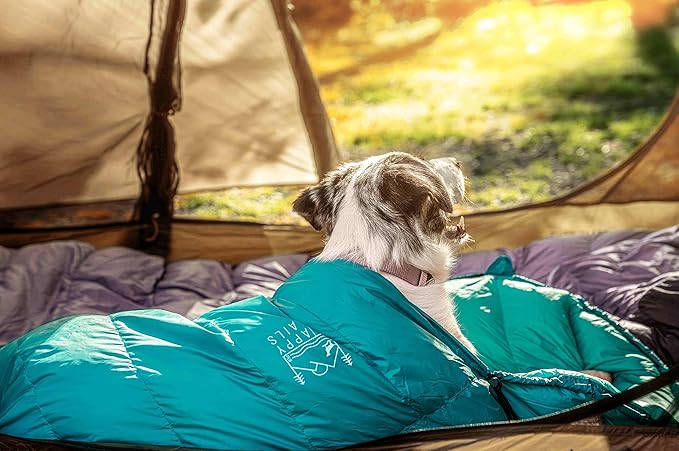 Ultralight Dog Sleeping Bag Backpacking—Outdoor Dog Bed for Hiking—Backpacking Gear for Dogs—Dog Hiking Gear—Dog Camping Gear—Packable Sleeping Bag for Dogs—Dog Travel Bed (Glacial Blue | Large)-Mewly Pet
