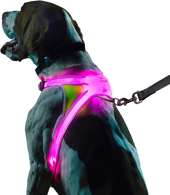 Noxgear LightHound - Multicolor LED Illuminated, Reflective Dog Harness (Medium)-Mewly Pet