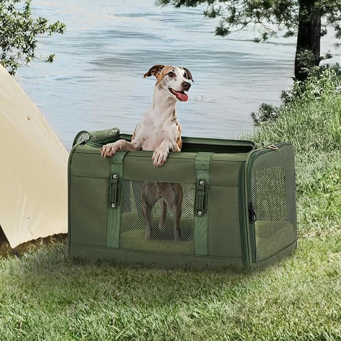 Petsfit 19x12x12 Pet Carrier for Large Cats (up to 20 lbs), Soft-Sided Small Dog Travel Carrier, Upgraded with Patented Buckle and Soft Padding, Ideal for Car Road Trips Green-Mewly Pet