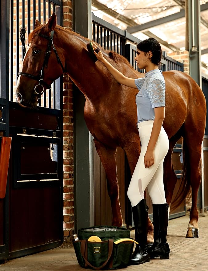 9PCS Horse Grooming Kit Curry Comb Sweat Scraper Horse Bathing Supplies Grooming Tools with Storage Bag Pasture Glow-Mewly Pet