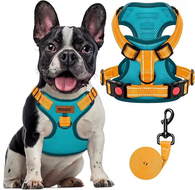 MIDOG No-Pull Dog Harness | Adjustable & Reflective Pet Harness Leash Set for Small Medium Large Dogs Walking, Training| No Choke, Front Clip, Soft Padded Vest with Easy Control Handle - Blue, M-Mewly Pet
