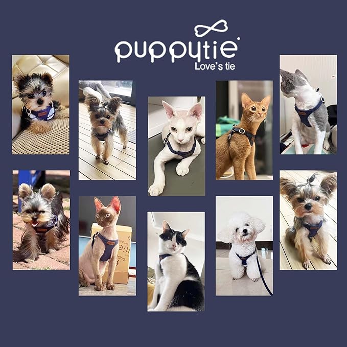 Puppytie No Pull Dog Harness with Multifunction Dog Leash,Soft Adjustable No Choke Escape Proof Pet Harness Vest for Medium Dogs or Large Dogs,Navy,M-Mewly Pet