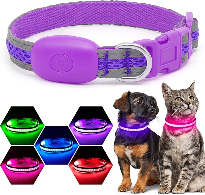 Flashseen LED Cat Collar,Light Up Dog Collar Rechargeable, Dog Lights for Night Walking, Comfortable Soft Mesh Pet Collar Adjustable for Cats Puppy and Small Dogs (Purple, XS)-Mewly Pet