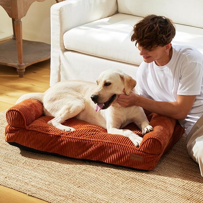 FUKUMARU Cute Dog Bed, Fluffy Dogs Couch with TPU Layer Keeping Lining Dry, Pet Sofa Medium Size Dog Easy to Care, Warm Cat Bed with Removable Zipper Cover, 36inch, Large, Orange-Mewly Pet