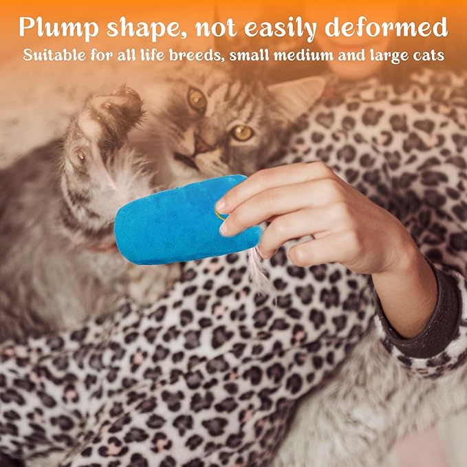 Cat Toys for Indoor Cats, 5Ps Cats Fetch Toys, Fluffy Toys for Playing, Interactive Kitten Toys, Kitty Chew Teething Toys, Cat Chew Toy for Kittens (Multi Color, 5 Pack)-Mewly Pet