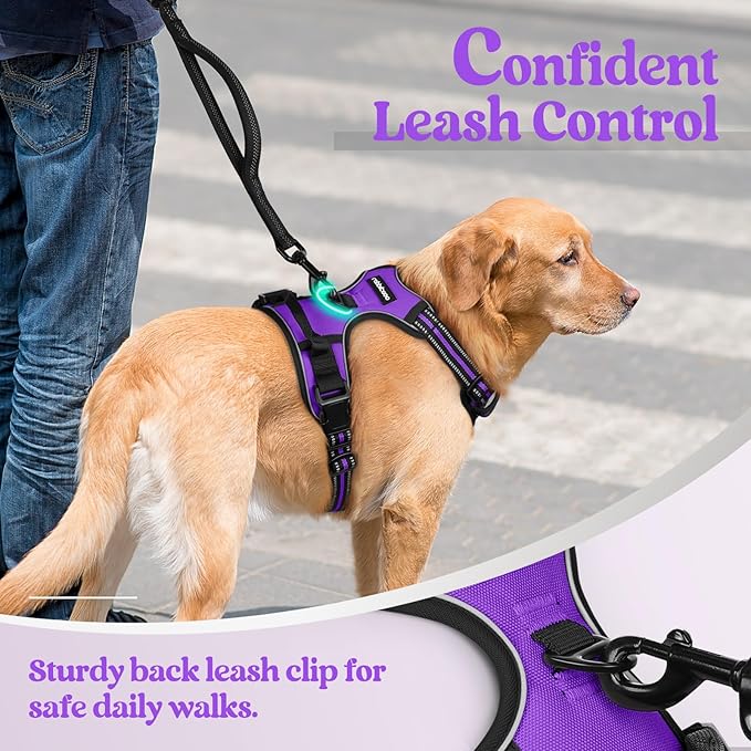 rabbitgoo Dog Harness No Pull with 2 Leash Clips, Adjustable Soft Padded, Reflective Oxford No Choke Pet Vest with Easy Control Handle for Small Dogs, Purple, S-Mewly Pet