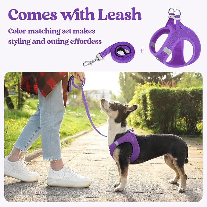 rabbitgoo Dog Harness Small Sized and Leash Set, Step in Soft Light Puppy Vest, Breathable Mesh Pet Harness, Reflective for Safe Outdoor Walking, Purple XXS-Mewly Pet